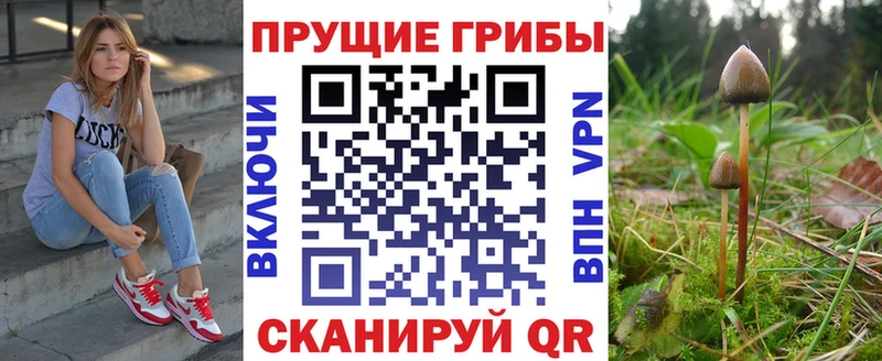 Галлюциногенные грибы Magic Shrooms  Чёрмоз 